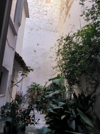 Chalet adosado en plaza Jaume I, 6