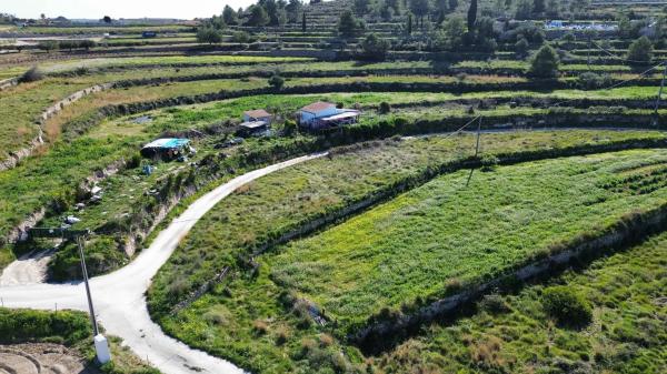 Finca rústica en Partida Berdica
