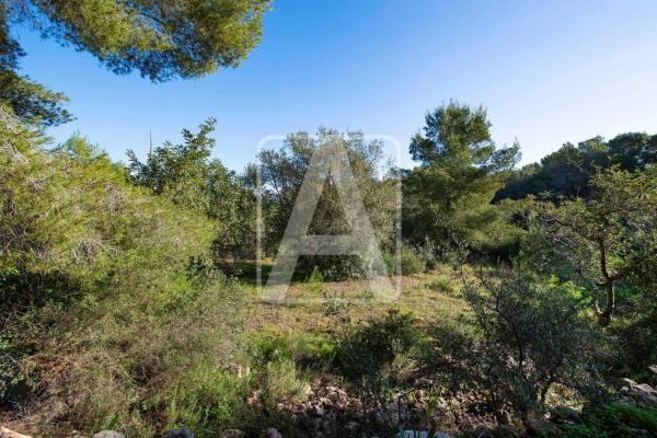Chalet en Cala Advocat - Baladrar