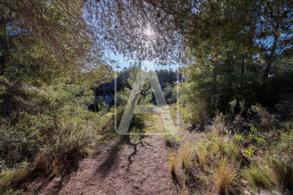 Chalet en Cala Advocat - Baladrar