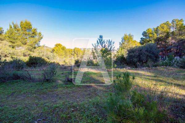 Chalet en Cala Advocat - Baladrar