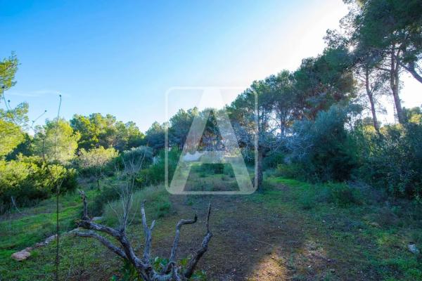 Chalet en Cala Advocat - Baladrar