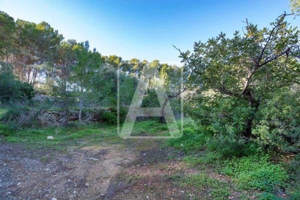 Chalet en Cala Advocat - Baladrar