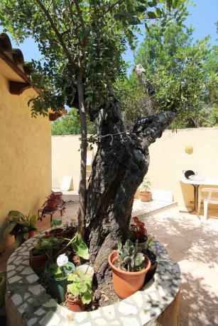 Finca rústica en Pd Bonaire