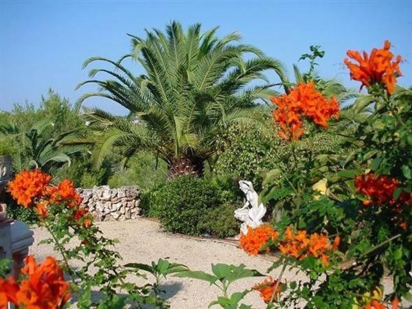 Casa independiente en avenida de la Fustera, 26