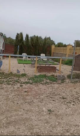 Terreno en Villena s/n Sinnumero