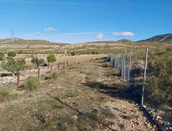 Terreno en Cabanes y Las Fuentes