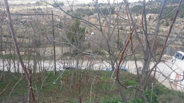 Terreno en calle Tejares, 6  a