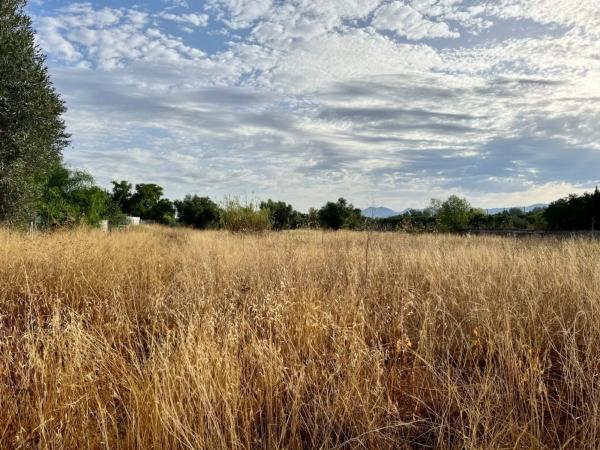 Terreno en Las Tiesas