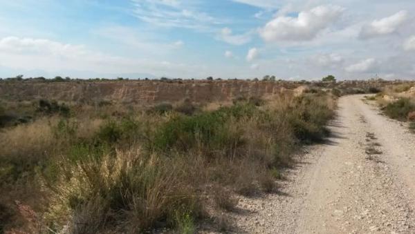 Terreno en Partida Lomas Gp. 2, 321