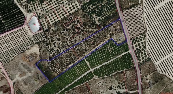 Terreno en camino de San Cayetano, km 0