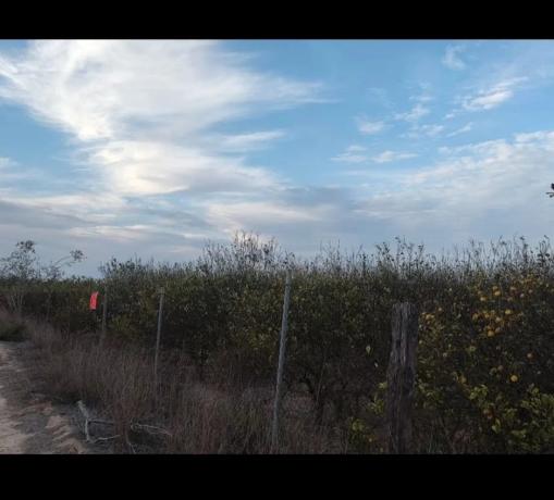 Terreno en plaza de España, 1