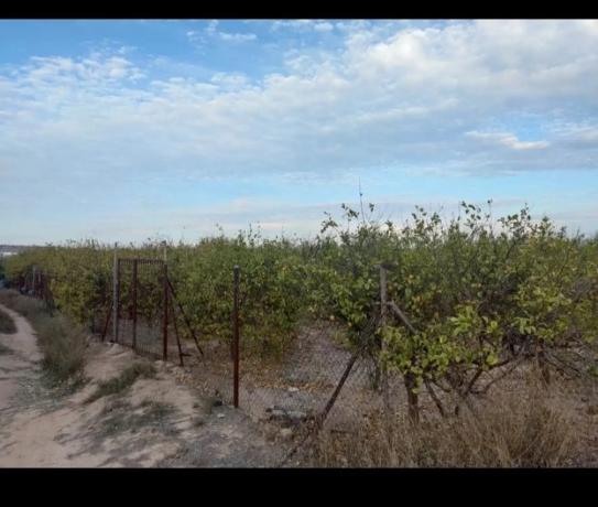 Terreno en plaza de España, 1