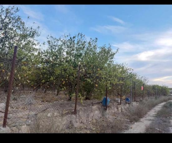 Terreno en plaza de España, 1