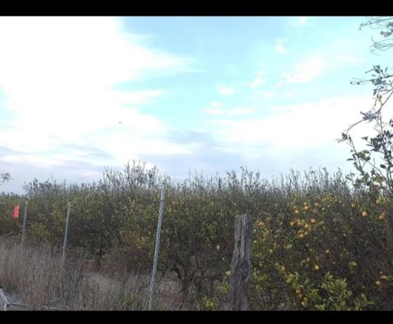 Terreno en plaza de España, 1