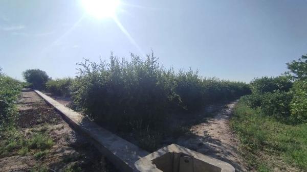 Terreno en Partida Fogaria