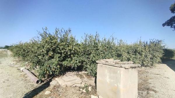 Terreno en Partida Fogaria