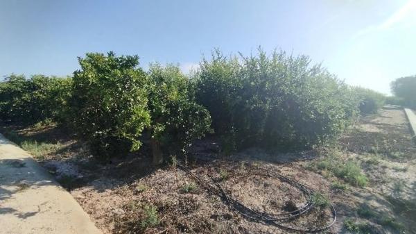 Terreno en Partida Fogaria