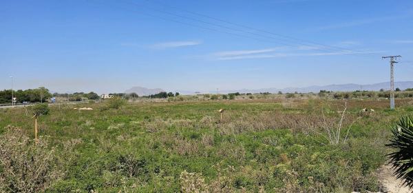 Terreno en Cv-920, km 13