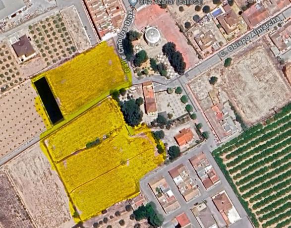 Terreno en Callosilla s/n