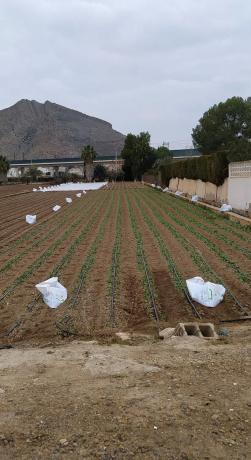 Terreno en camino la Serrana, 6