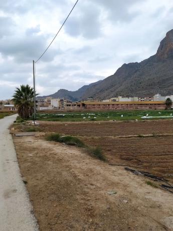 Terreno en camino la Serrana, 6