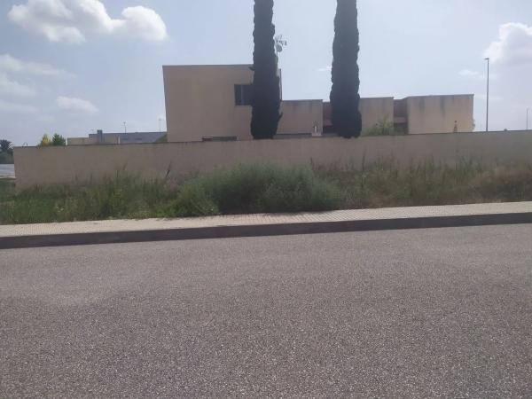 Terreno en calle Belgica s/n