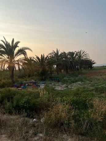 Terreno en La magdalena, polígono 5 parcela 54, 54