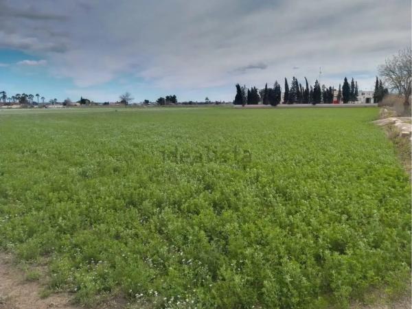 Terreno en camino los Tonecas, 19