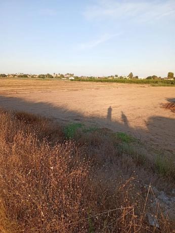 Terreno en camino Cebadas, 2