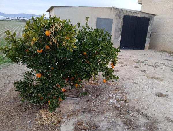 Terreno en vereda de los Josés, 49