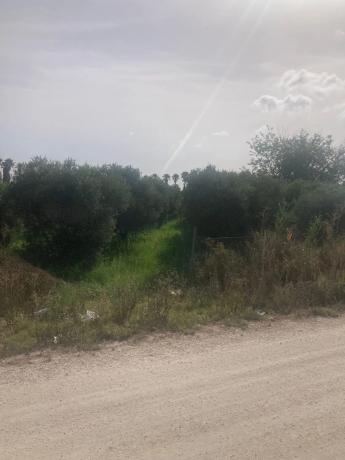 Terreno en Partida Marina s/n