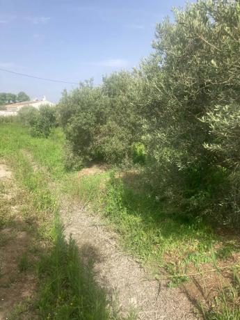 Terreno en Partida Marina s/n