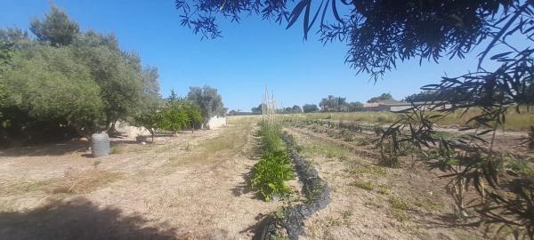 Terreno en huerta Dolores s/n