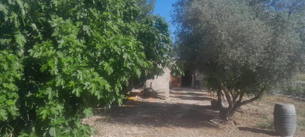 Terreno en huerta Dolores s/n