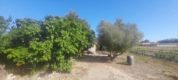 Terreno en huerta Dolores s/n