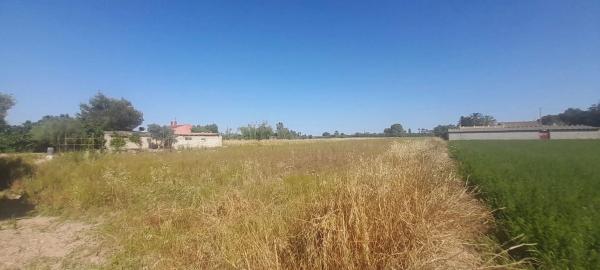 Terreno en huerta Dolores s/n