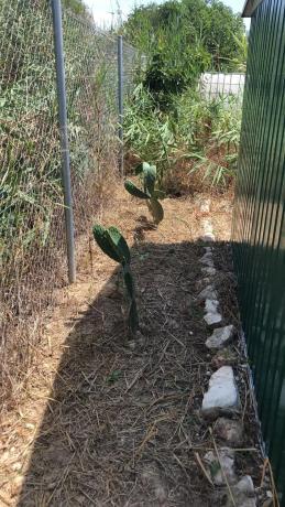 Terreno en Lugar Acequia del Rio, 15