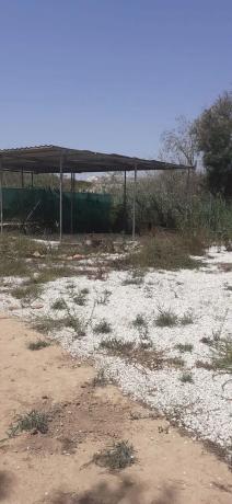 Terreno en Lugar Acequia del Rio, 15