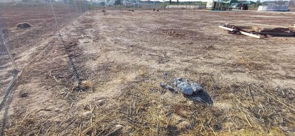 Terreno en camino del Raso, 2