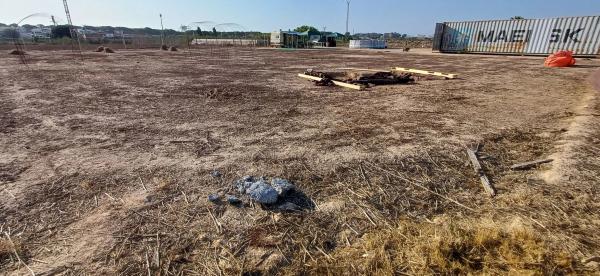 Terreno en camino del Raso, 2