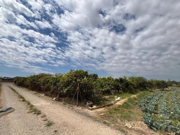 Terreno en Zona Pueblo
