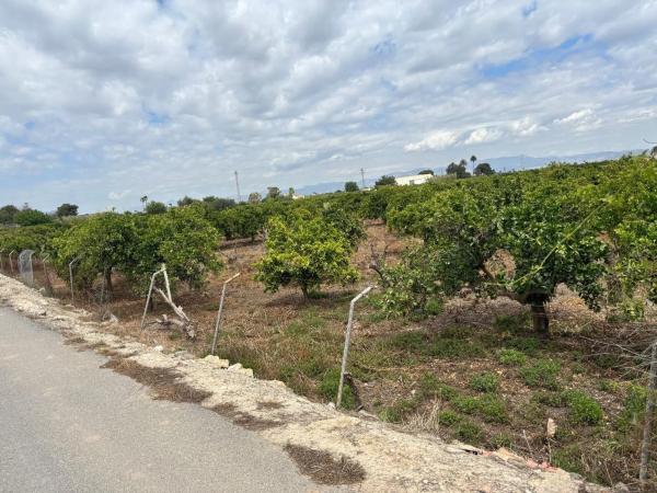 Terreno en Zona Pueblo