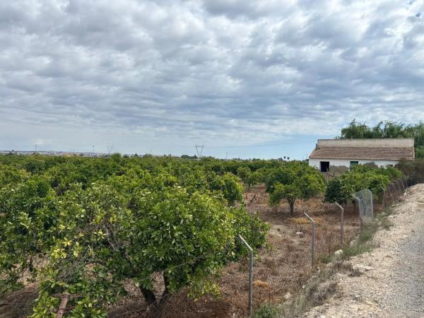 Terreno en Zona Pueblo