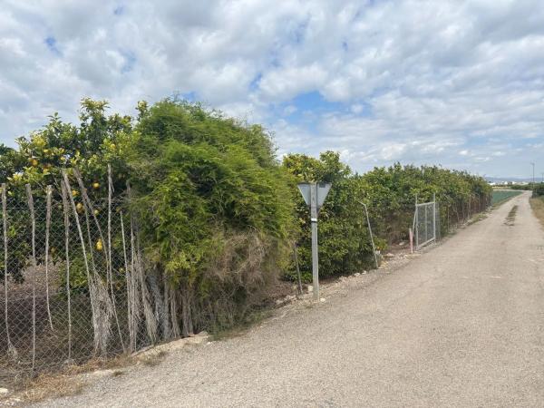 Terreno en Zona Pueblo