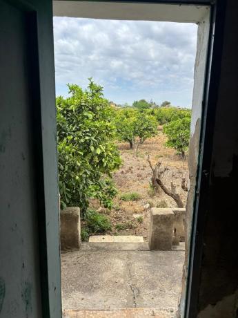 Terreno en Zona Pueblo