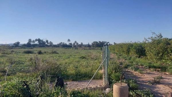 Terreno en calle lo Reche, 3