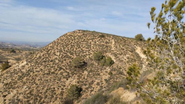 Terreno en Desamparados-Hurchillo-Torremendo
