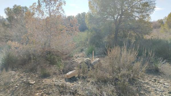Terreno en Desamparados-Hurchillo-Torremendo