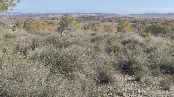 Terreno en Desamparados-Hurchillo-Torremendo
